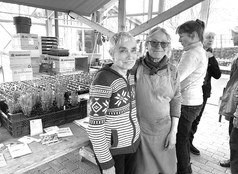 Rencontre « Petites herbes »